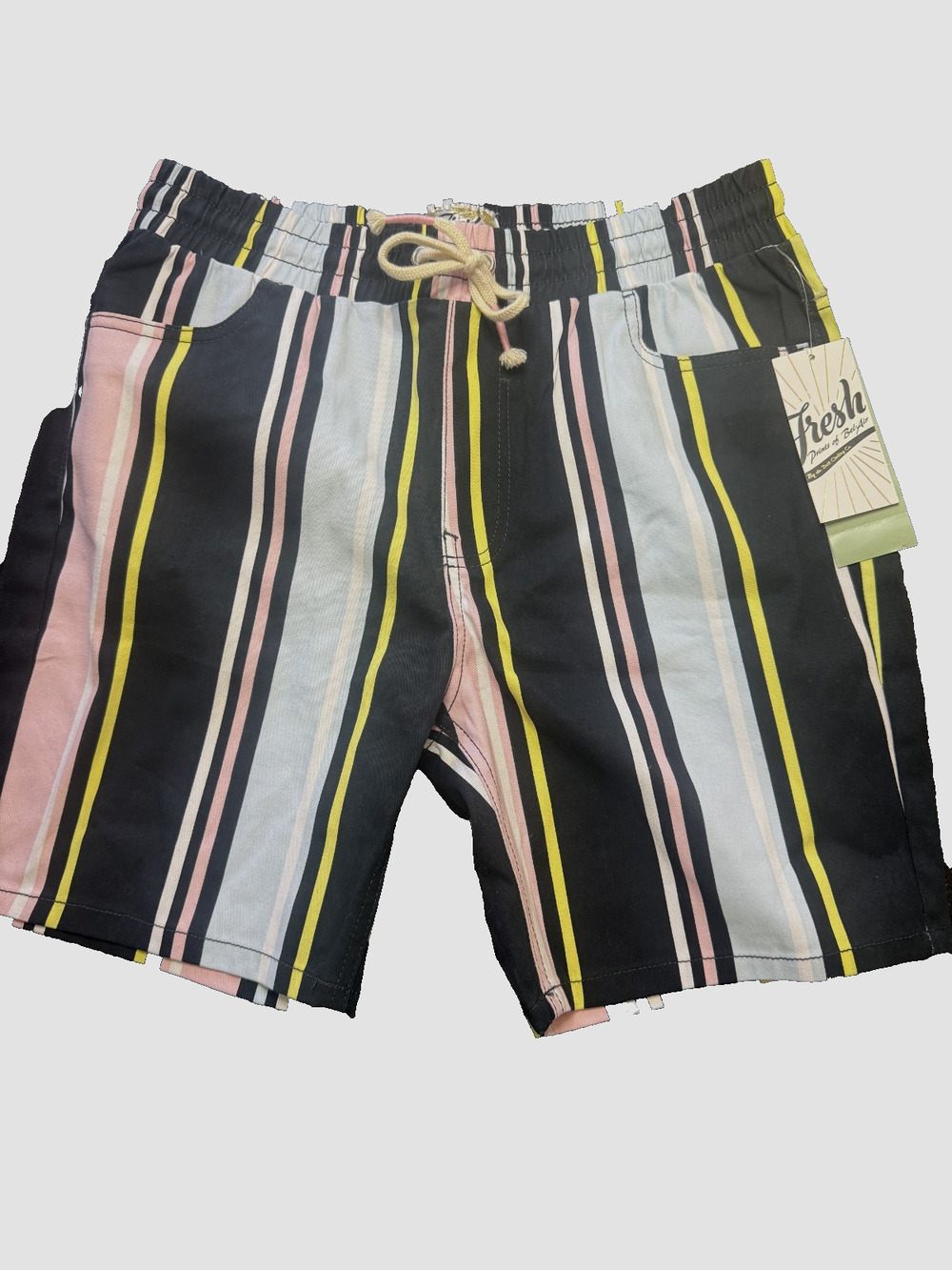 New Fresh Prince of Bel Air Preppy Y2K Size Large Shorts
